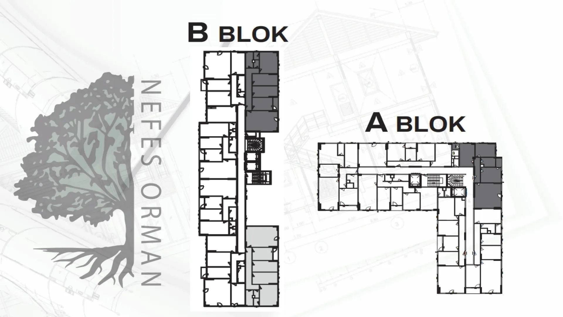 nefes-orman-katalog-2025-2